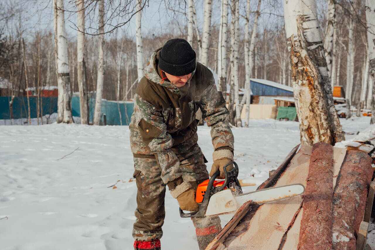 Best Dead Tree Removal  in USA